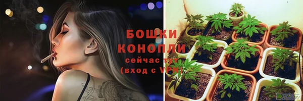 spice Новозыбков