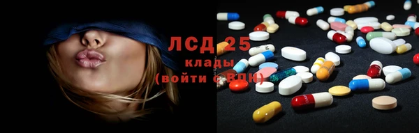 spice Новозыбков