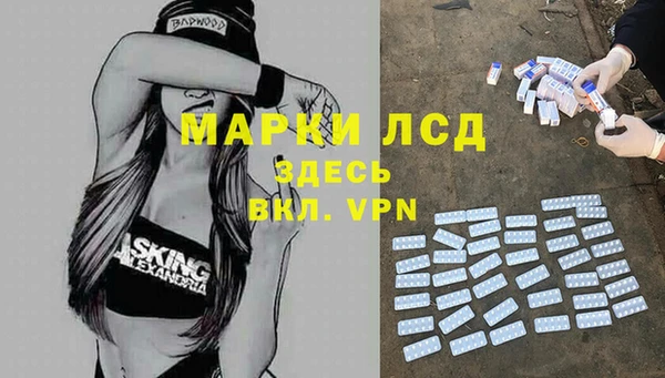гашик Новодвинск