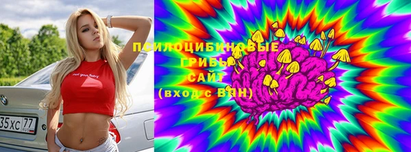тгк Новокубанск
