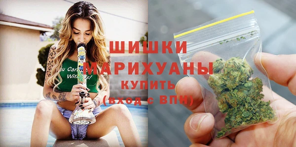 spice Новозыбков