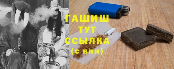 гашик Новодвинск