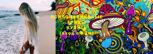 spice Новозыбков