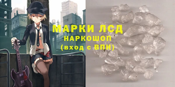 гашик Новодвинск