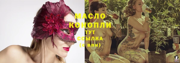 гашик Новодвинск