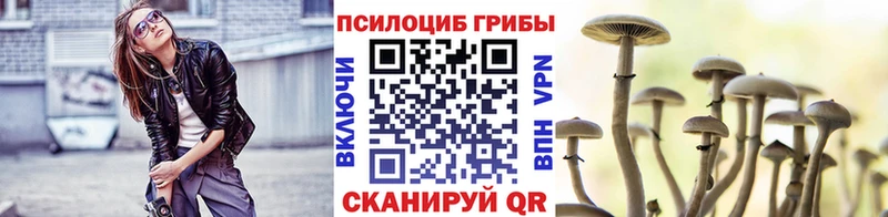 Галлюциногенные грибы Psilocybe  Оханск 